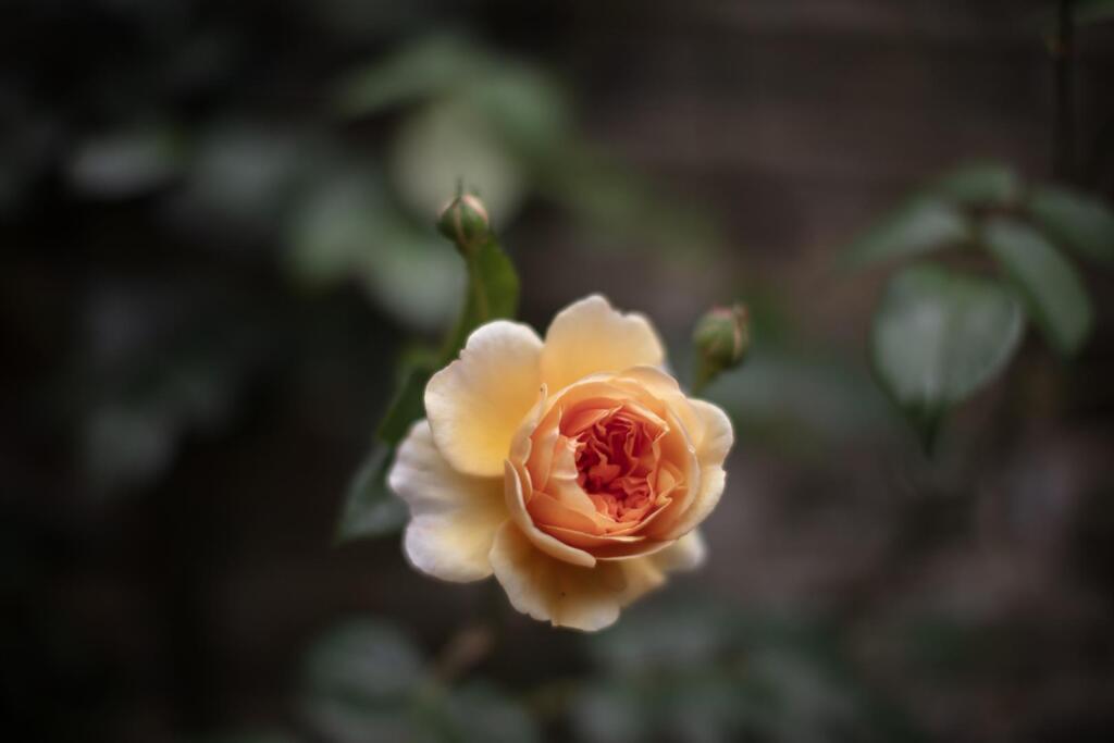 3Y6A7438.jpg