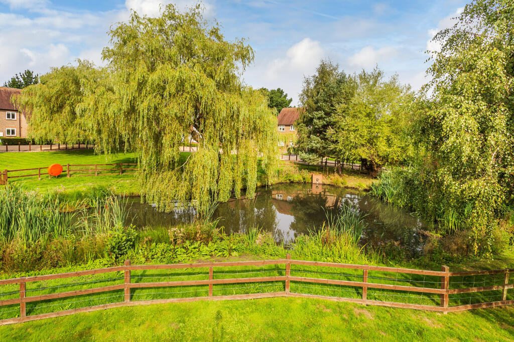 Communal Pond Area (Summer)