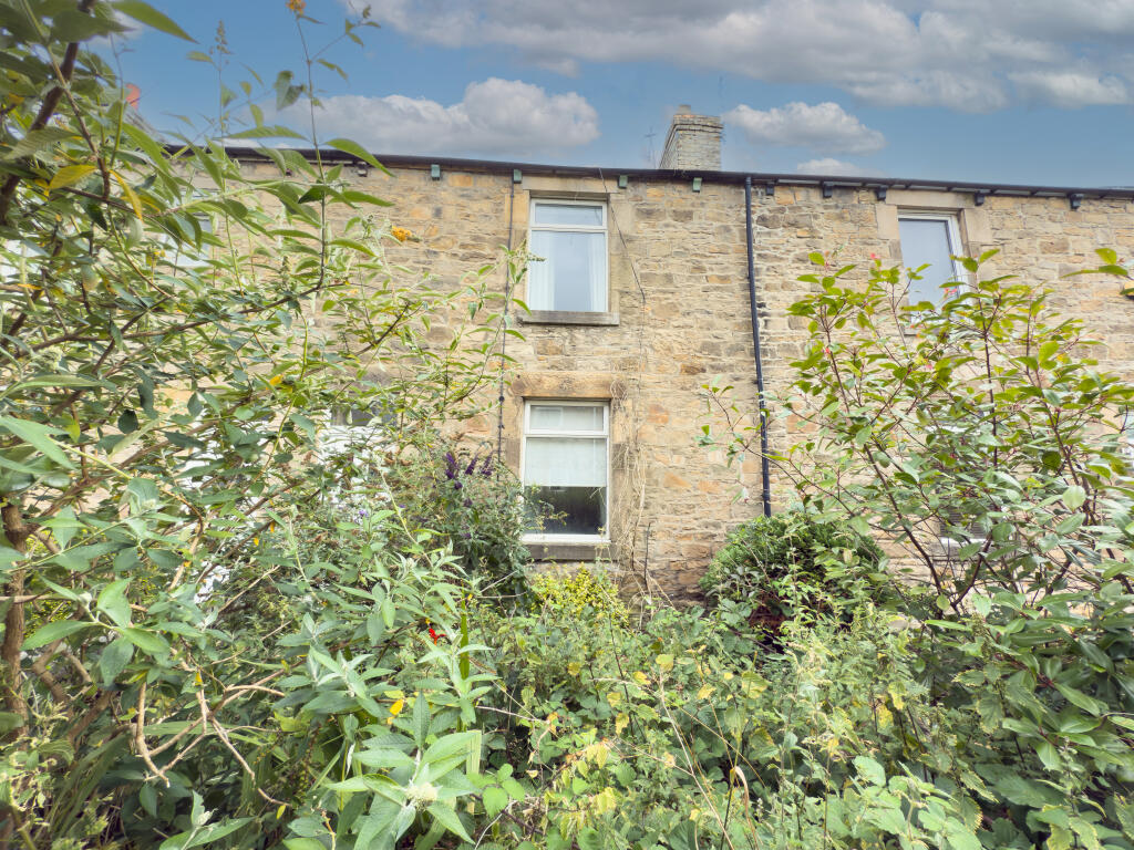 IMG 2592 T202508121614.jpg