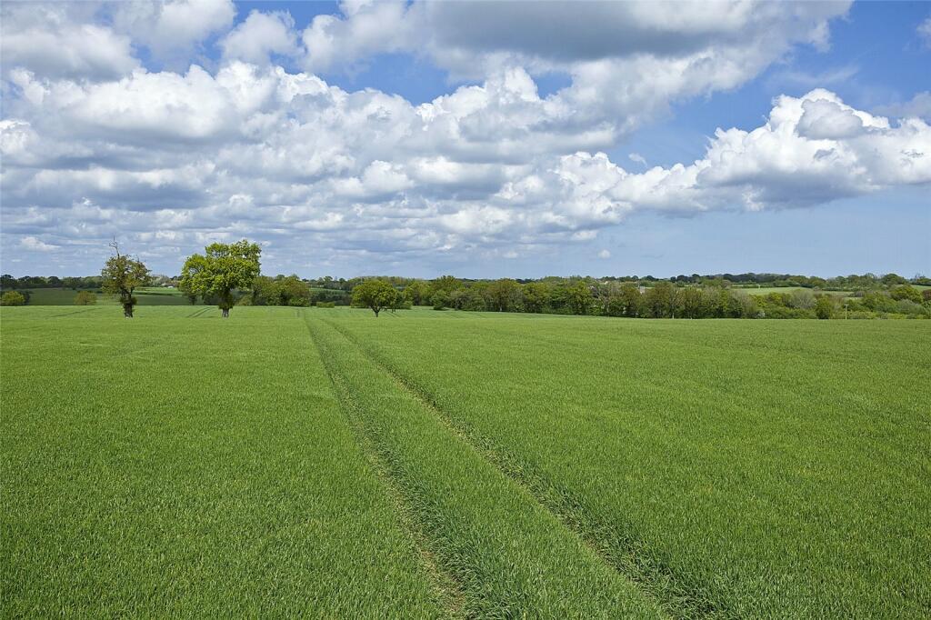 Land