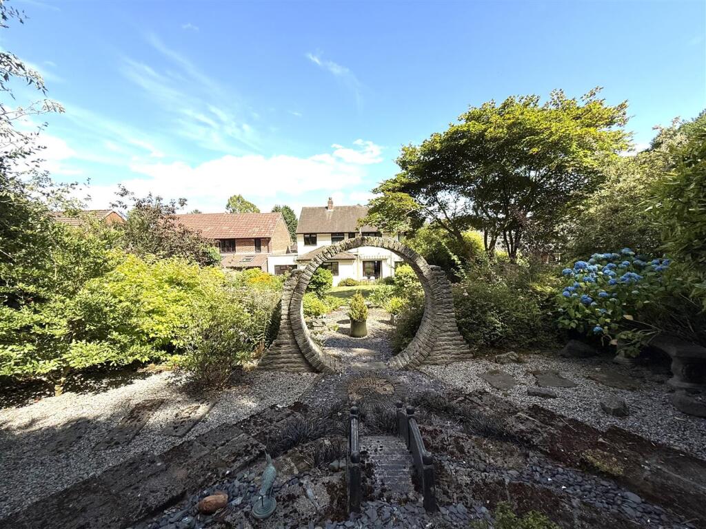 6 the pingle 56.jpeg