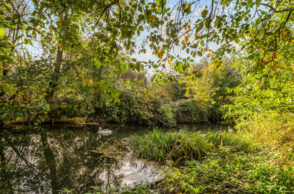 1373521-19-6900a9...