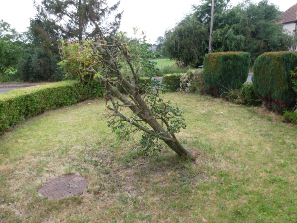 Gardens