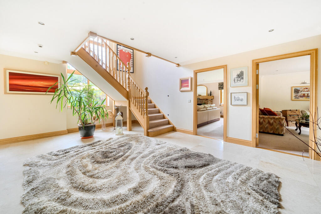 1303185-41-684b2b...