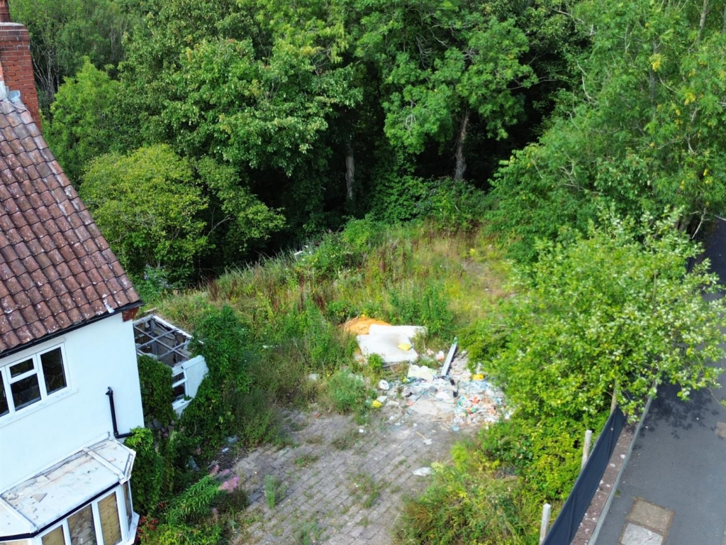 Untitled design (10).png