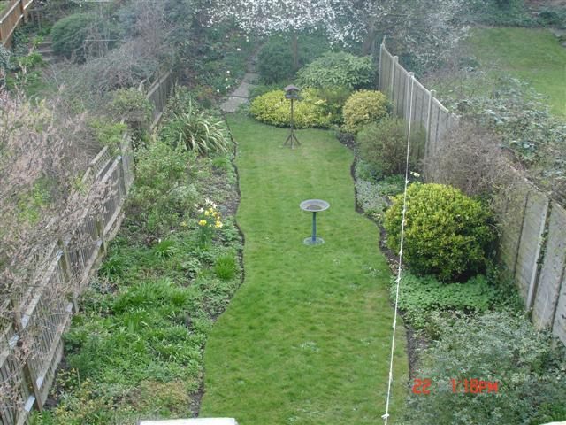 Photo 5
