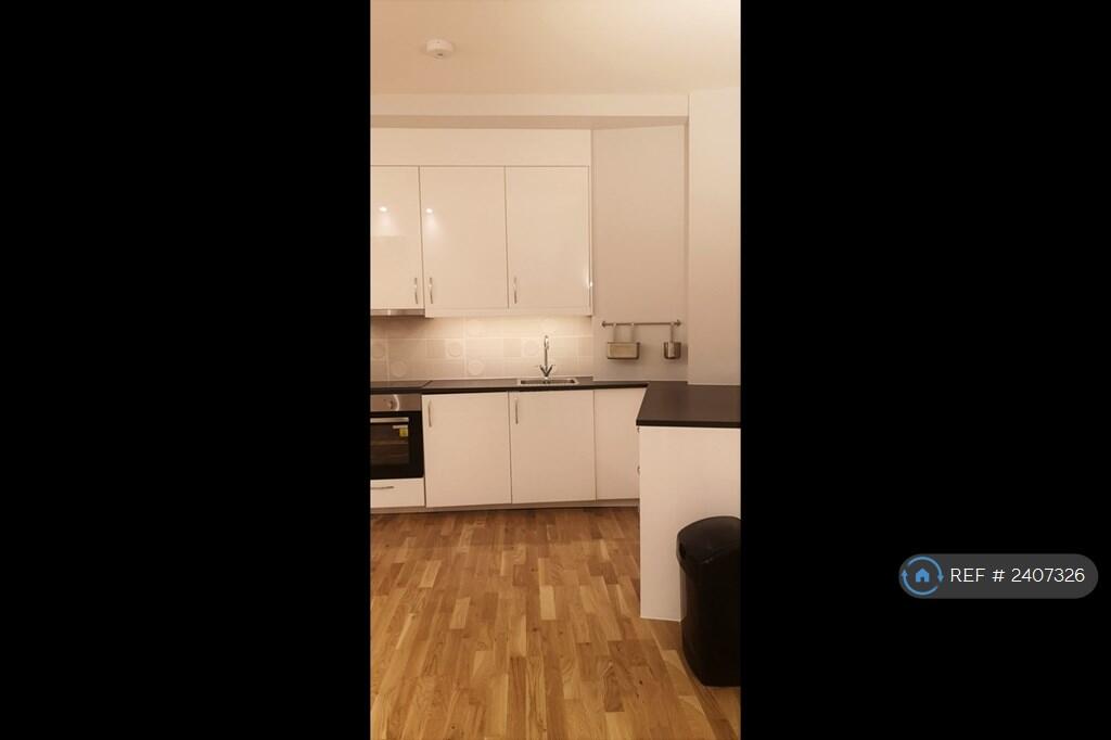 Kitchen/Dliving Area