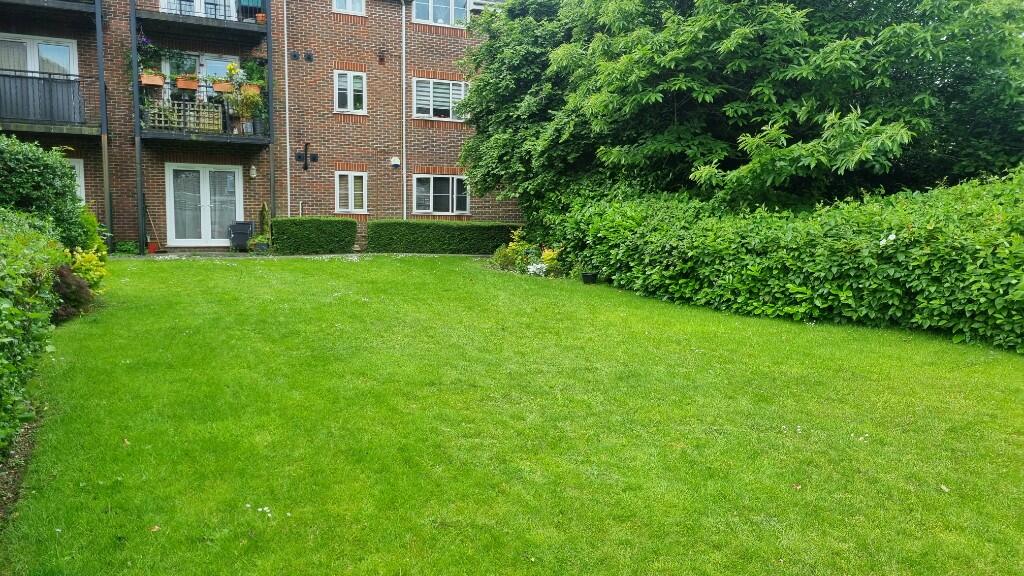 Communal Garden