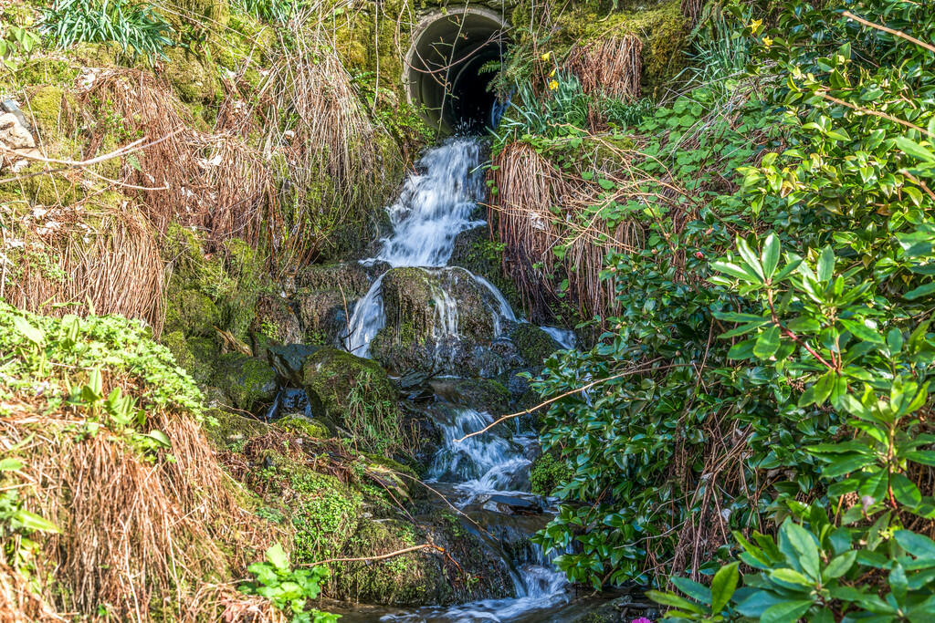 Stream