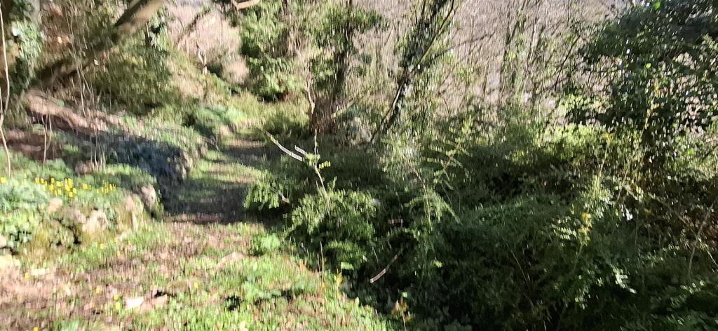 20250401_115312.jpg