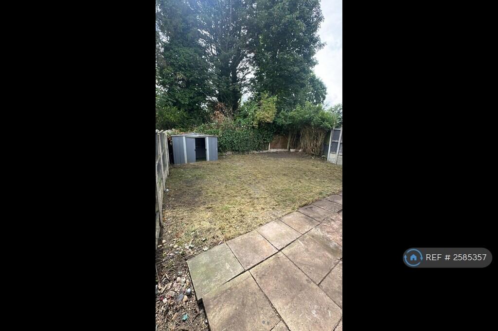 Back Garden