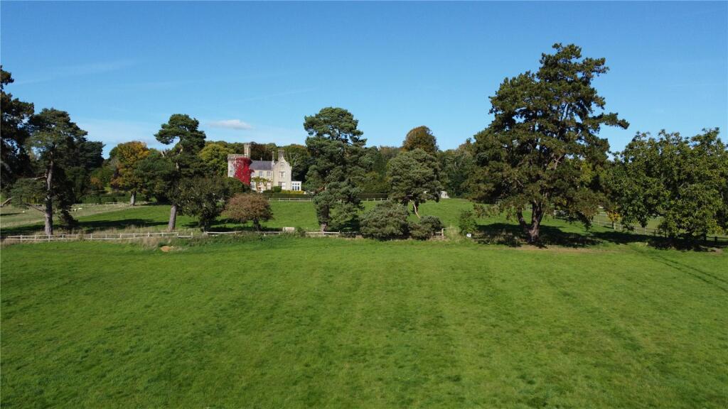 View Toward House