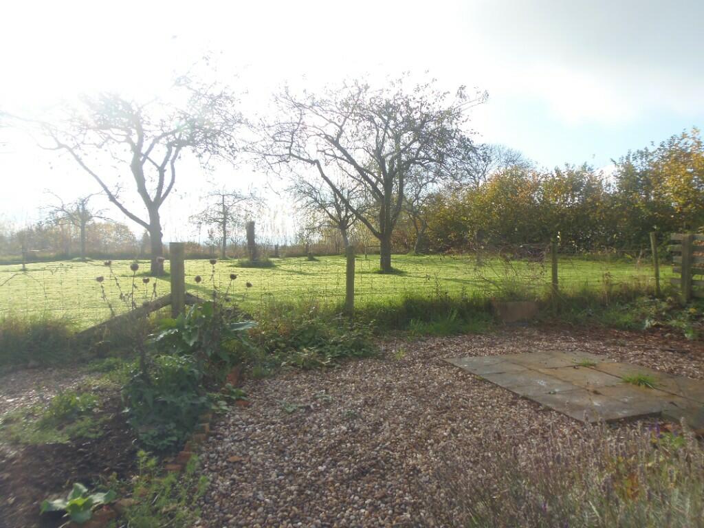 View from Garden