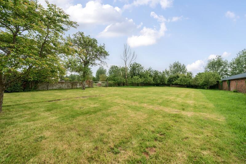 664715cf29db4-t-1124377 (9).jpg