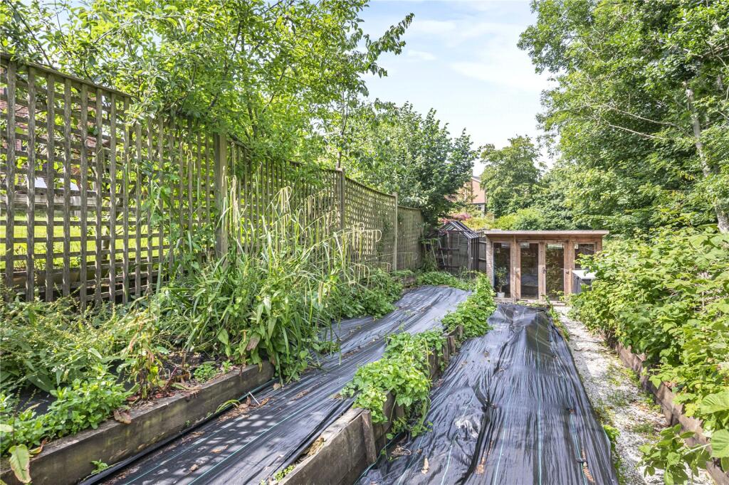Vegetable Garden