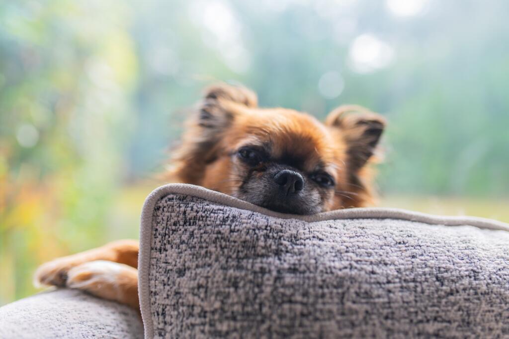 Award-winning Media team on EVERY Listing_12