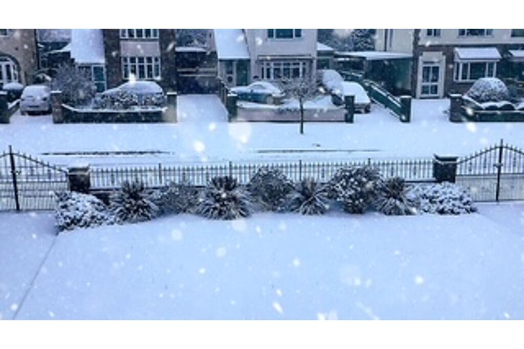 Front Garden