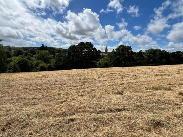 Top Field with tower 5.JPG