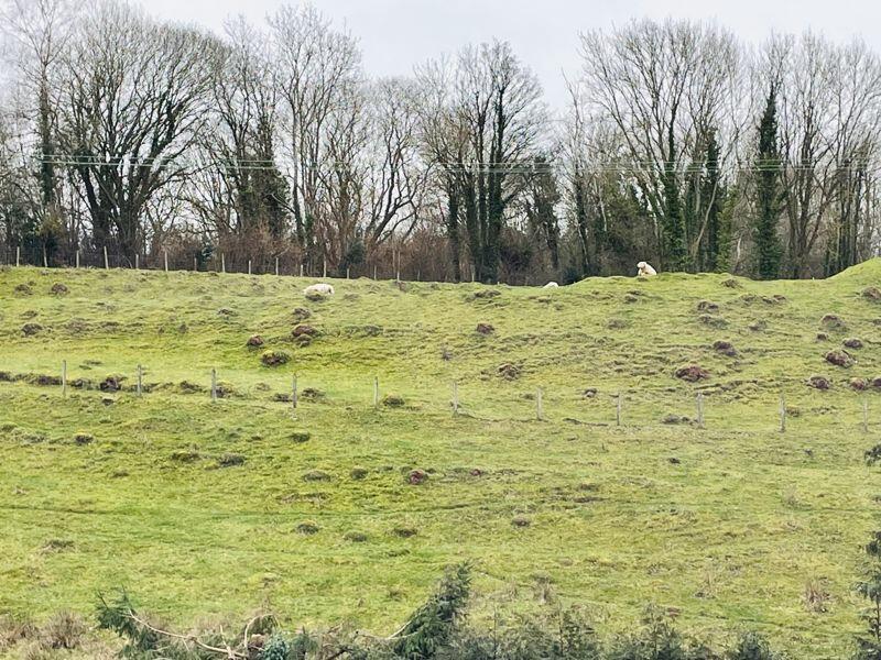 View to rear of house
