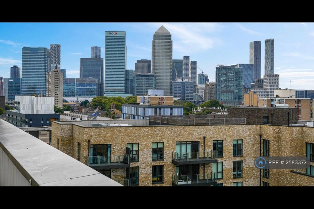 Rooftop View