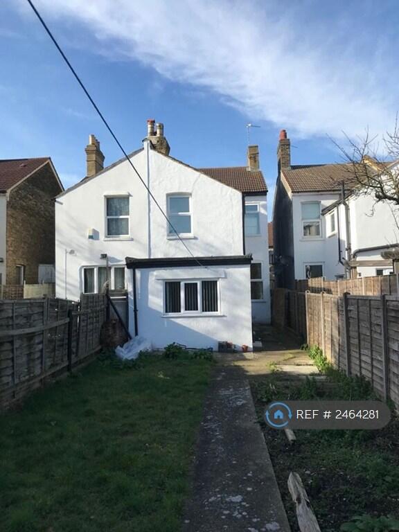 Back Garden