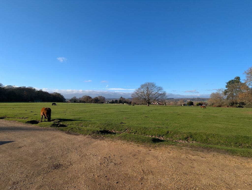 Photo's of nearby Wood Green