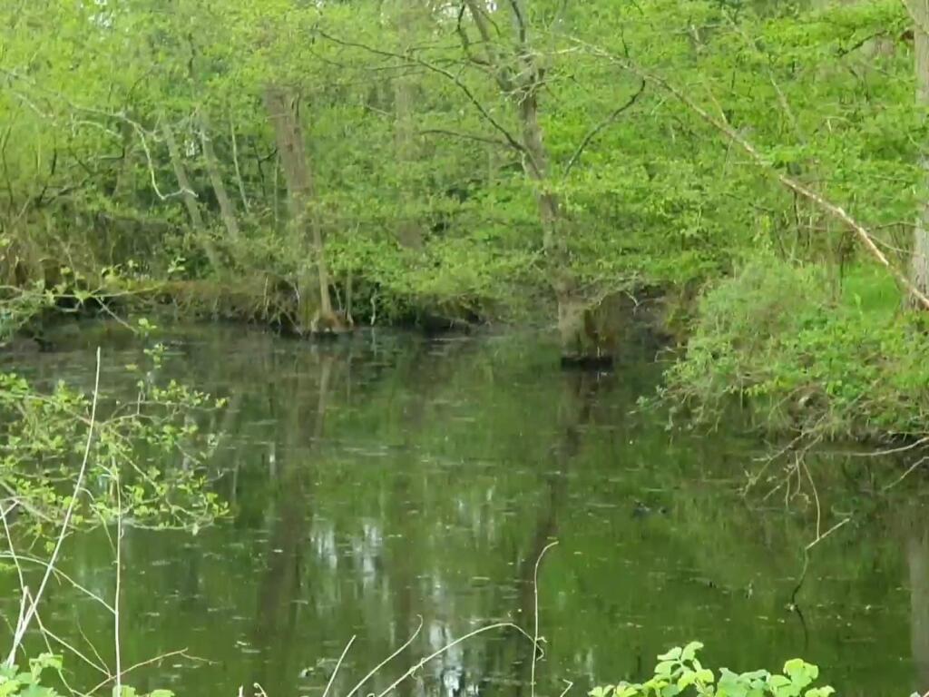 WhatsApp Image 2025-05-05 at 18.31.35 (6).jpeg