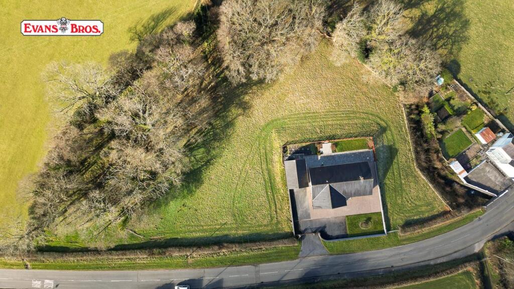 DJI_0004-2.jpg