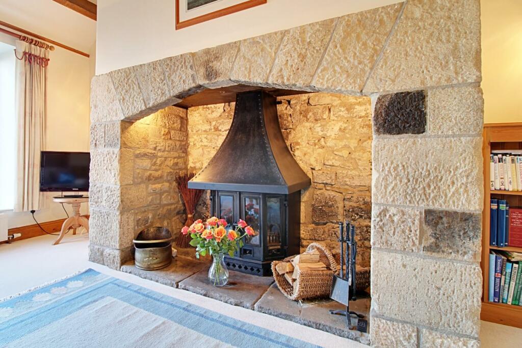 Living Room Fire Place.jpg