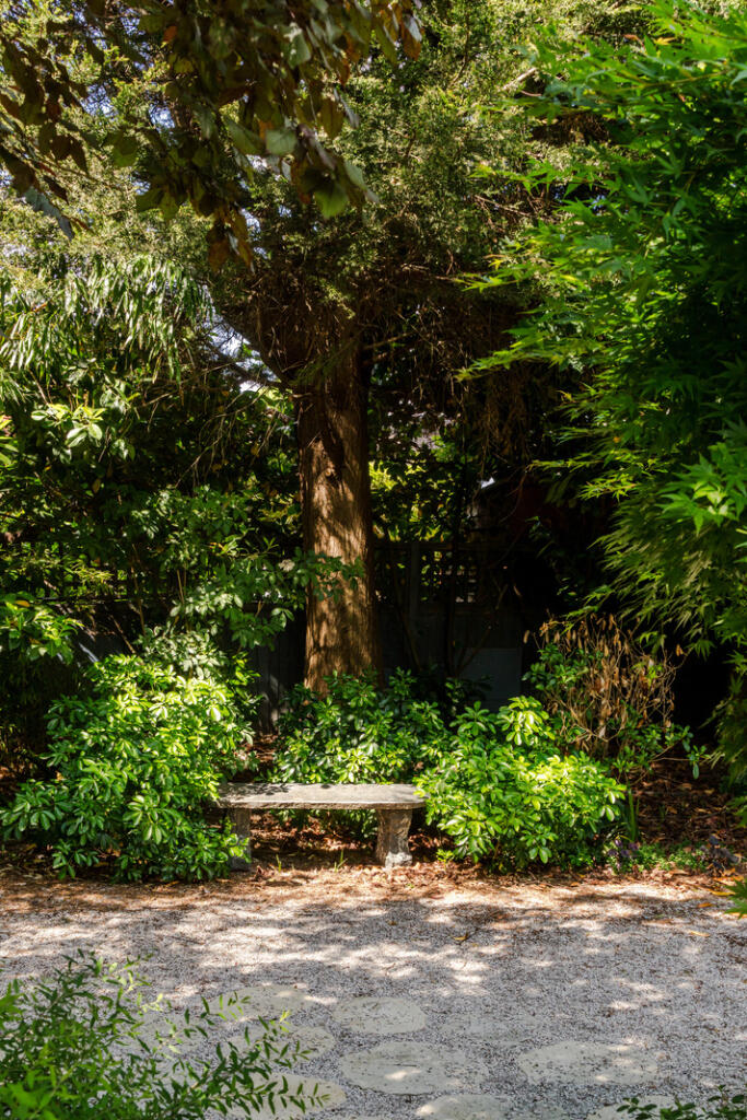 287872 - 13 Purley Avenue-24.jpg