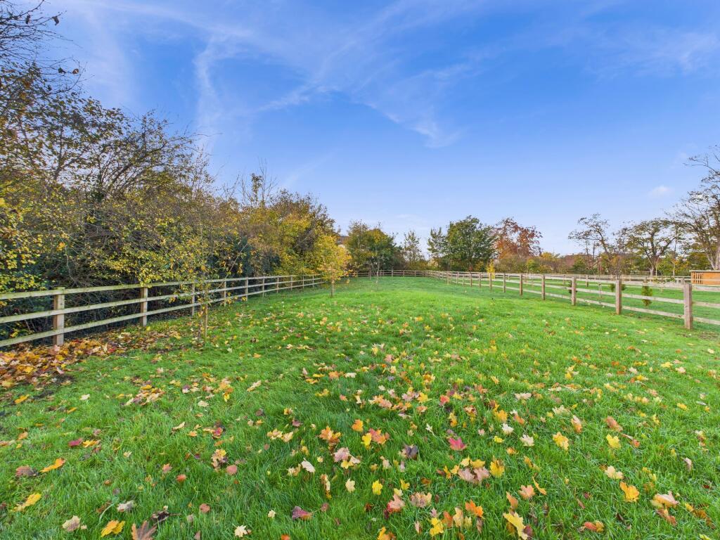 Meadow