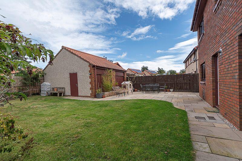 Back Garden
