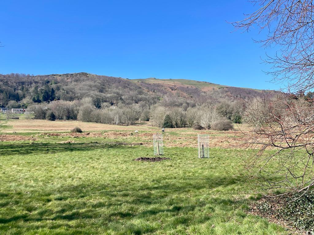 Excellent walks nearby