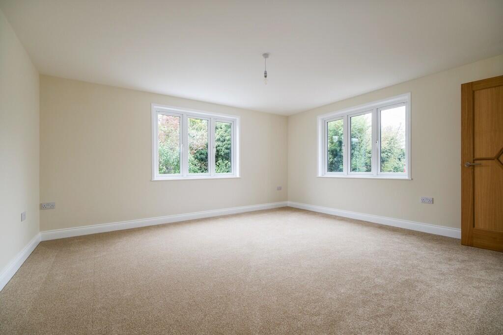 1440px-Elm Tree V...