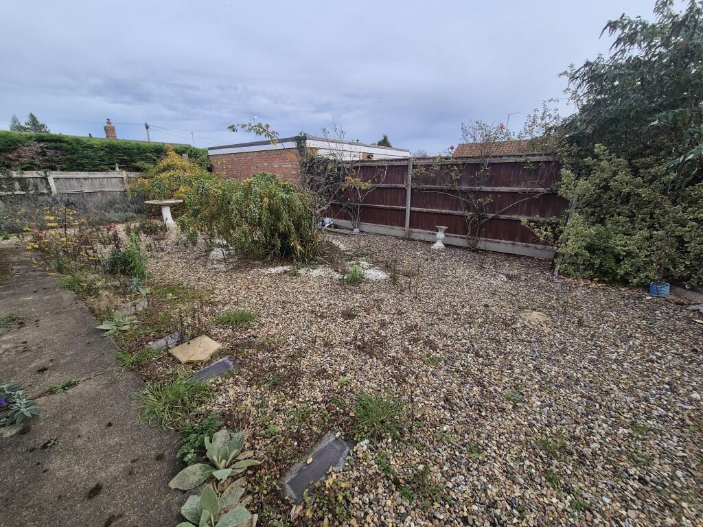 20251106 113140  Medium  T202511111033.jpg