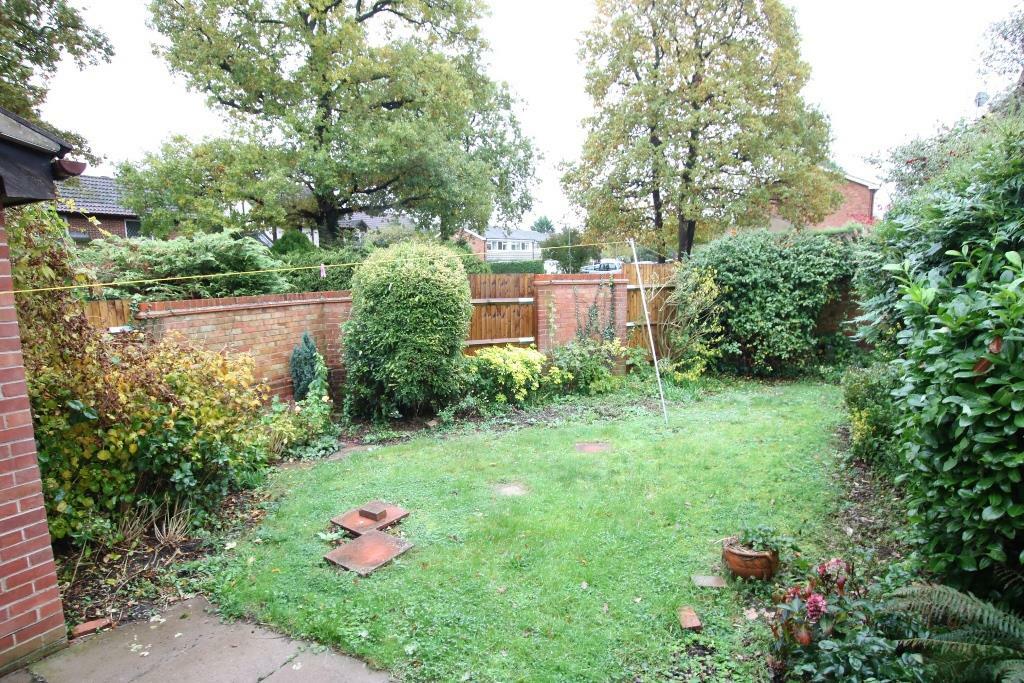garden.JPG