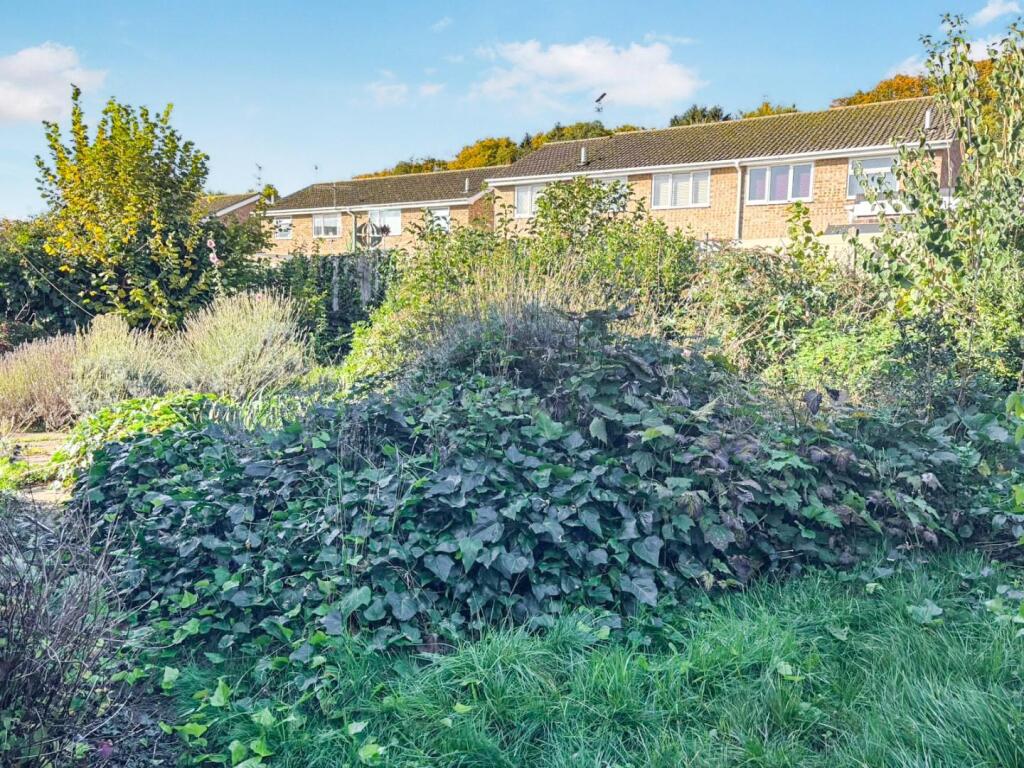 tlc_f7b4a938-5ee1-4713-8de4-377750297baa_5caaeab.j