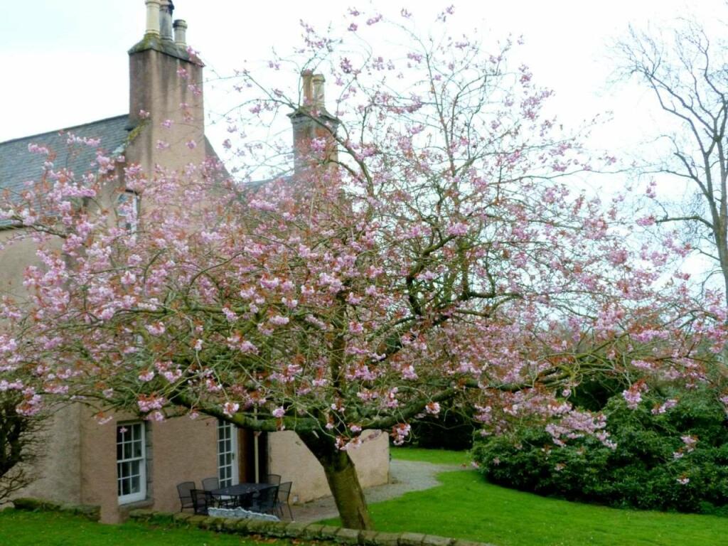 View of Property at Side