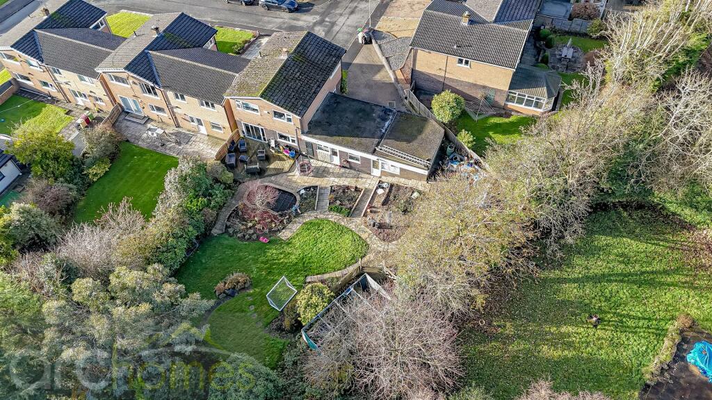 dji_fly_20241125_110314_0592_1732546401949_photo.j