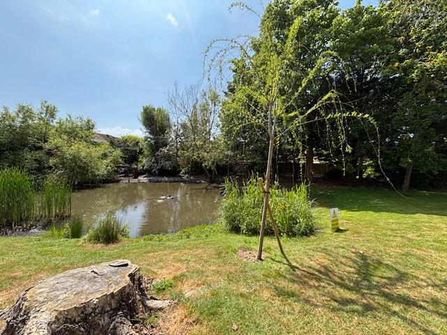 Pond Area