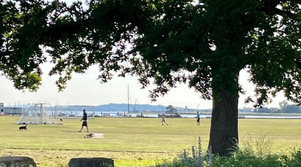 Whiteciff Park