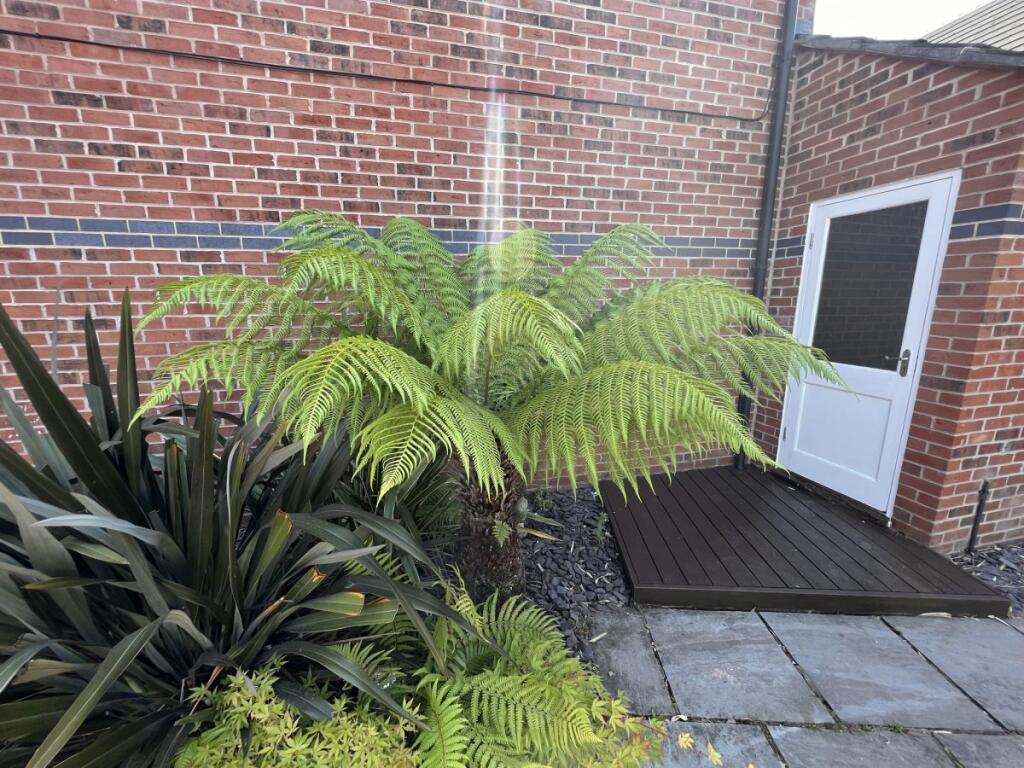 Garden &amp; Garage Door