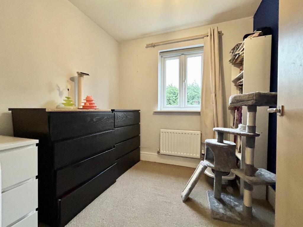 user_edited_photo-226d6674_user-edited-3a015cad-da