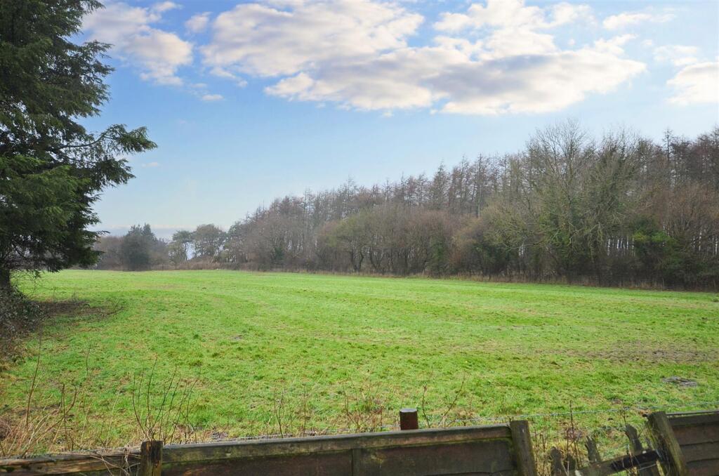 View from bottom of garden