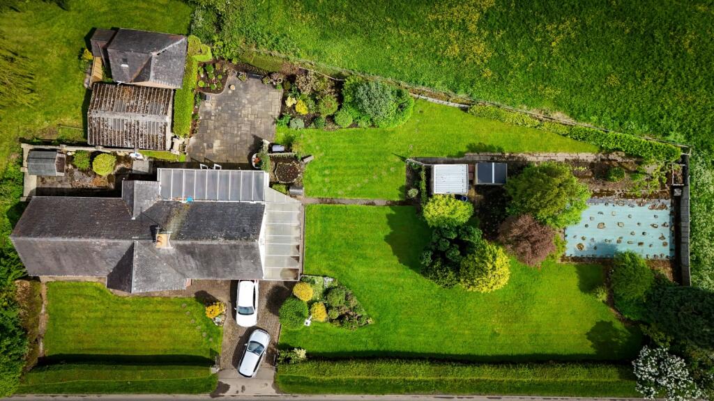 Plot View