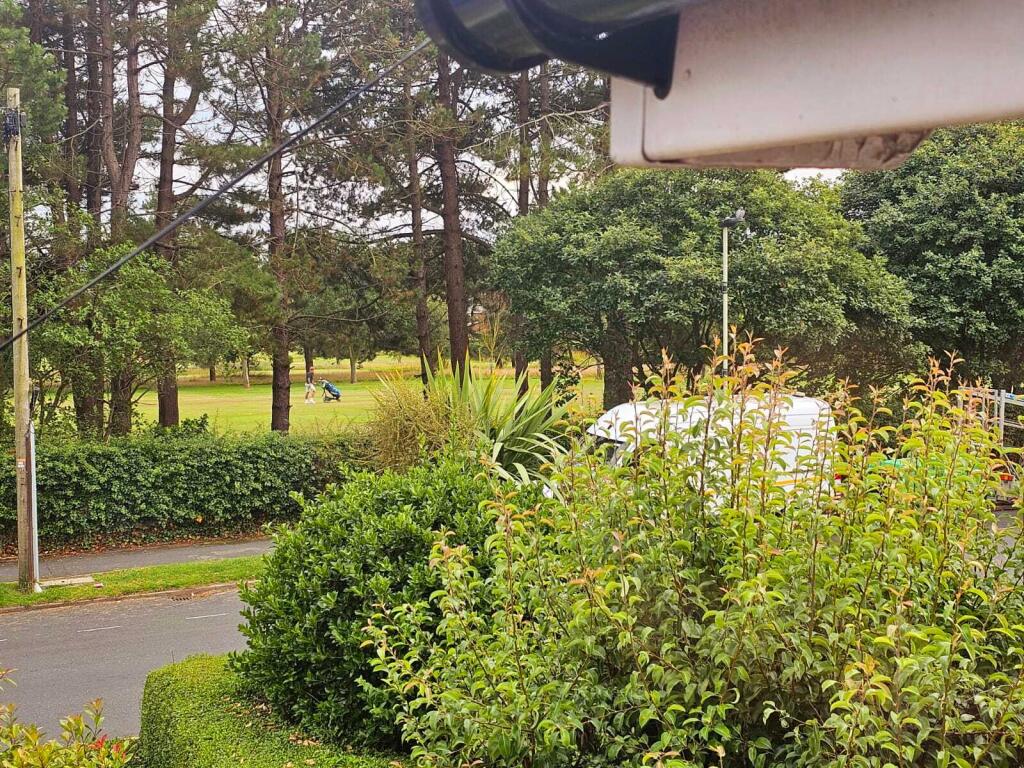 65ca03a6-08b1-4d44-a948-d6c4f00d25c5