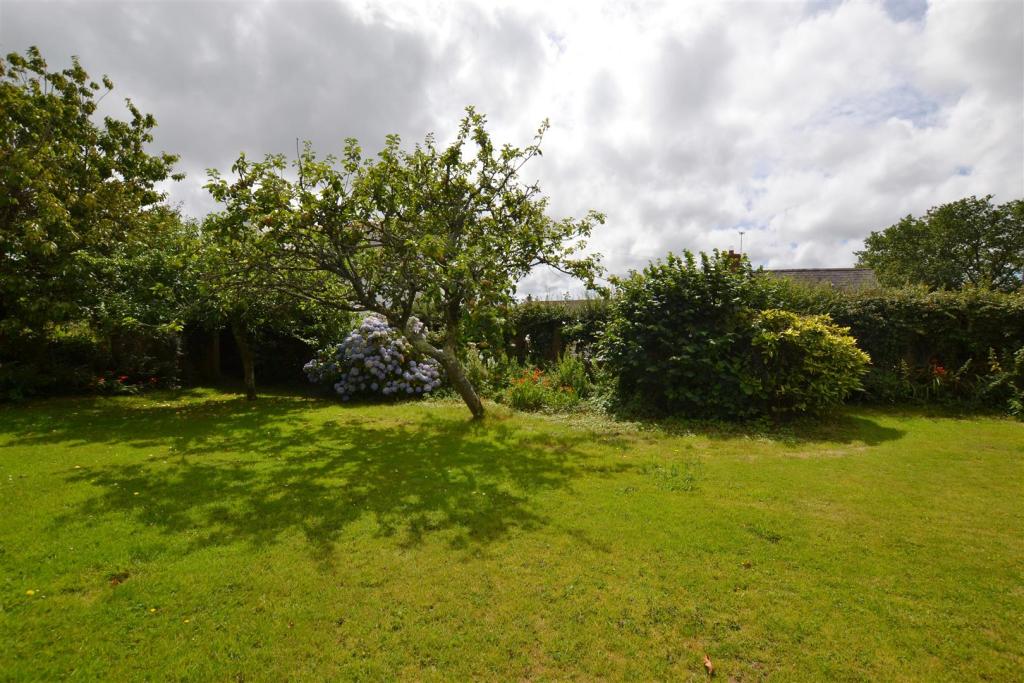 garden 10.JPG