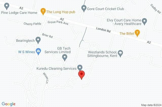Google Maps Image