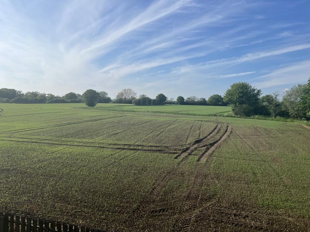 UNADJUSTEDNONRAW_...