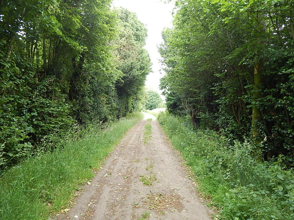 2 T202509241147.jpg